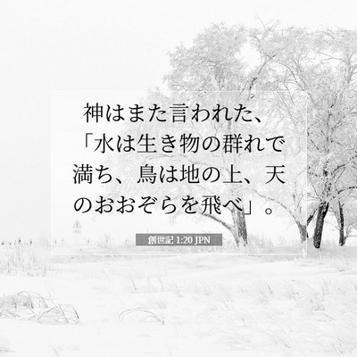 創世記 1:20 聖書の一節の解説