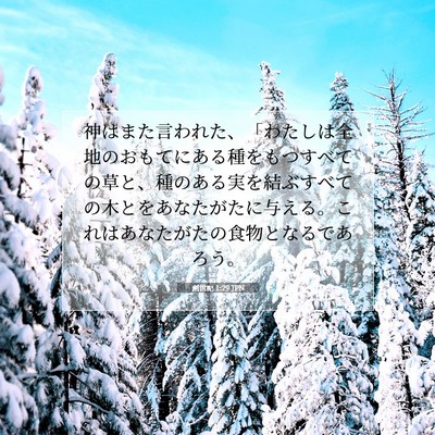 創世記 1:29 聖書の一節の解説