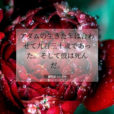 創世記 5:5 聖書の一節の解説
