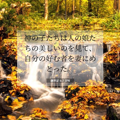 創世記 6:2 聖書の一節の解説