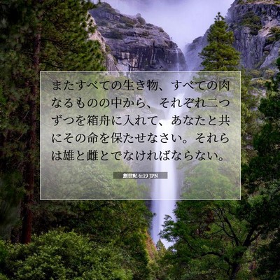 創世記 6:19 聖書の一節の解説