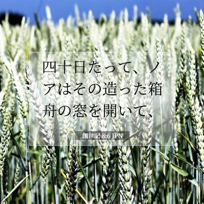 創世記 8:6 聖書の一節の解説