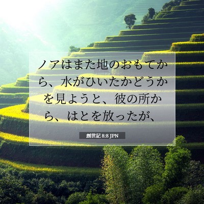 創世記 8:8 聖書の一節の解説