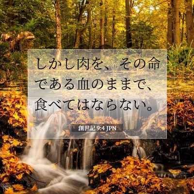 創世記 9:4 聖書の一節の解説