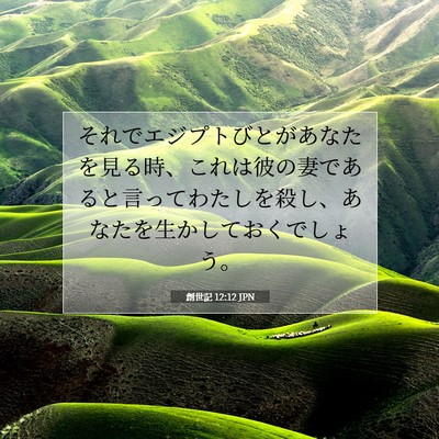 創世記 12:12 聖書の一節の解説