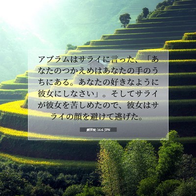 創世記 16:6 聖書の一節の解説