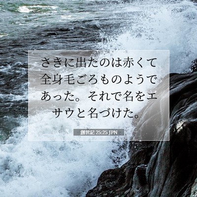 創世記 25:25 聖書の一節の解説