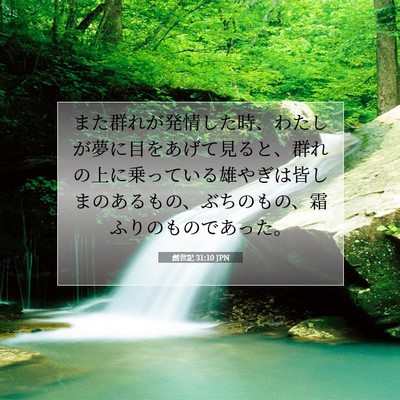 創世記 31:10 聖書の一節の解説