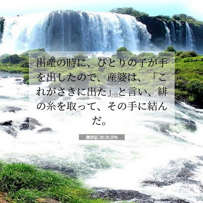 創世記 38:28 聖書の一節の解説