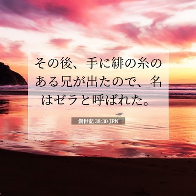 創世記 38:30 聖書の一節の解説