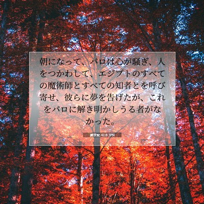 創世記 41:8 聖書の一節の解説