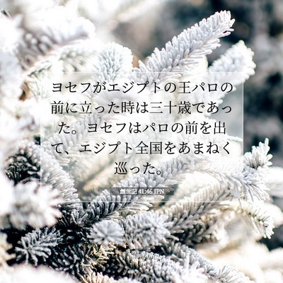 創世記 41:46 聖書の一節の解説