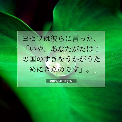 創世記 42:12 聖書の一節の解説