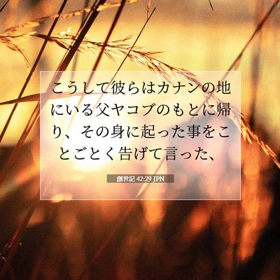 創世記 42:29 聖書の一節の解説