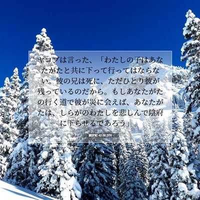 創世記 42:38 聖書の一節の解説