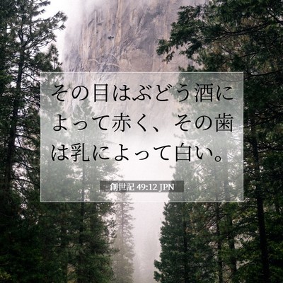 創世記 49:12 聖書の一節の解説