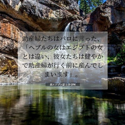 出エジプト記 1:19 聖書の一節の解説