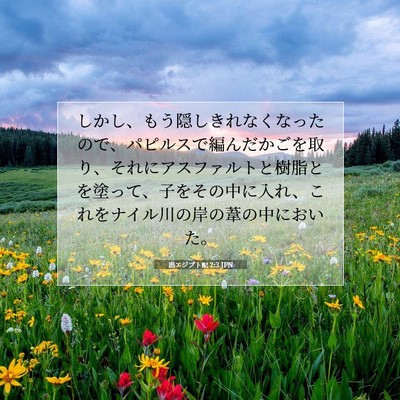 出エジプト記 2:3 聖書の一節の解説