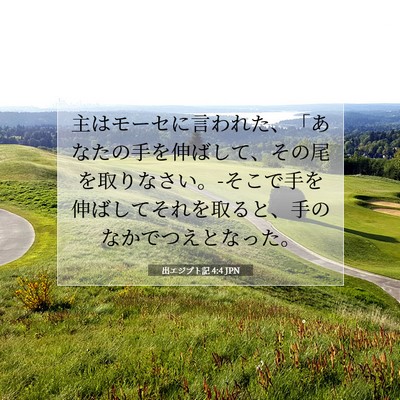 出エジプト記 4:4 聖書の一節の解説