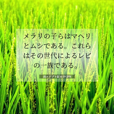 出エジプト記 6:19 聖書の一節の解説