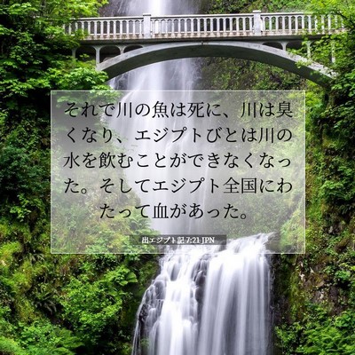出エジプト記 7:21 聖書の一節の解説