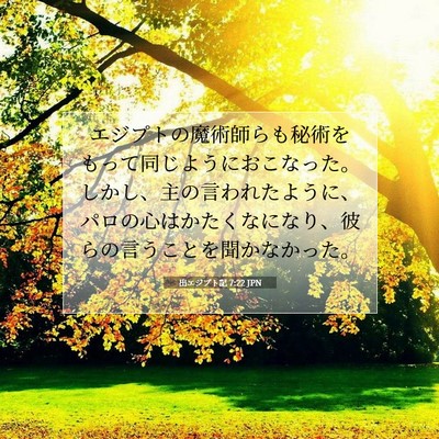 出エジプト記 7:22 聖書の一節の解説