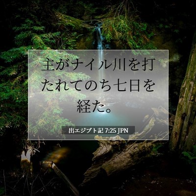 出エジプト記 7:25 聖書の一節の解説