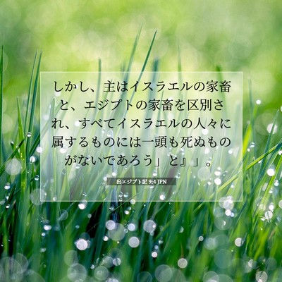 出エジプト記 9:4 聖書の一節の解説