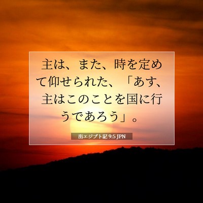 出エジプト記 9:5 聖書の一節の解説
