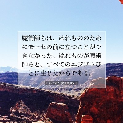 出エジプト記 9:11 聖書の一節の解説