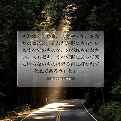 出エジプト記 9:19 聖書の一節の解説