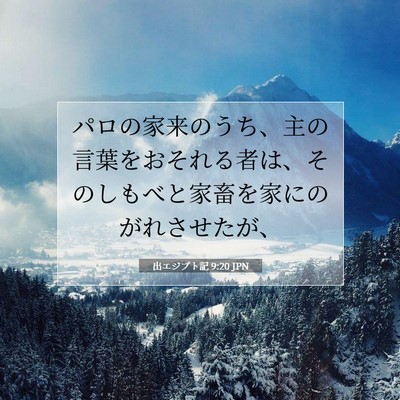 出エジプト記 9:20 聖書の一節の解説