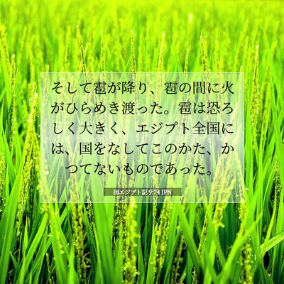 出エジプト記 9:24 聖書の一節の解説