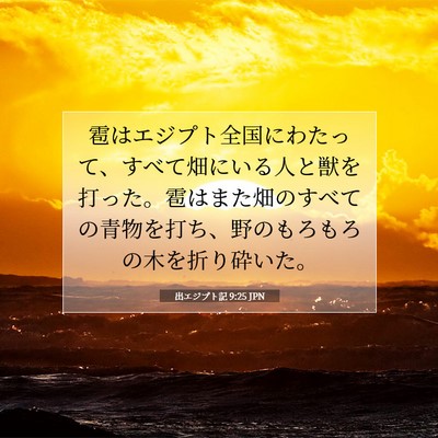出エジプト記 9:25 聖書の一節の解説