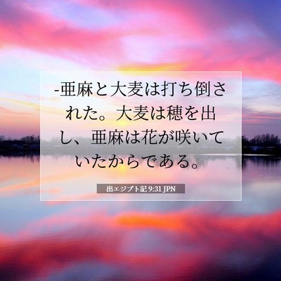 出エジプト記 9:31 聖書の一節の解説