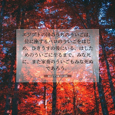 出エジプト記 11:5 聖書の一節の解説