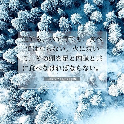 出エジプト記 12:9 聖書の一節の解説