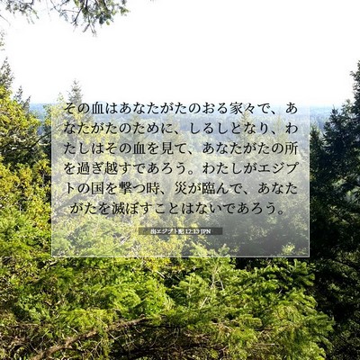 出エジプト記 12:13 聖書の一節の解説