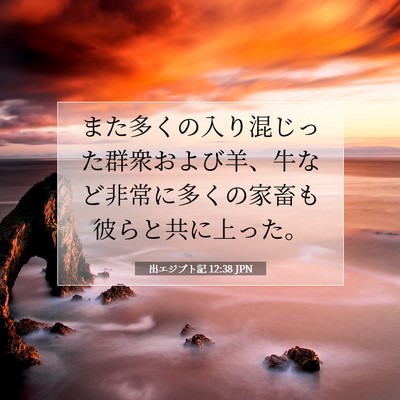 出エジプト記 12:38 聖書の一節の解説