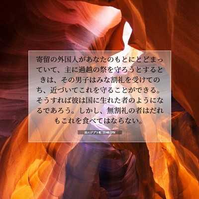 出エジプト記 12:48 聖書の一節の解説