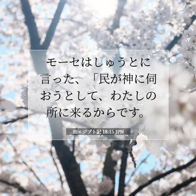 出エジプト記 18:15 聖書の一節の解説