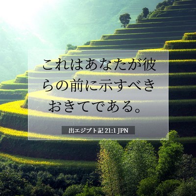 出エジプト記 21:1 聖書の一節の解説