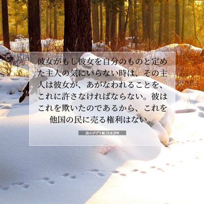 出エジプト記 21:8 聖書の一節の解説