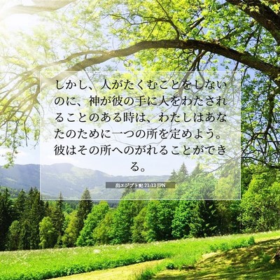 出エジプト記 21:13 聖書の一節の解説