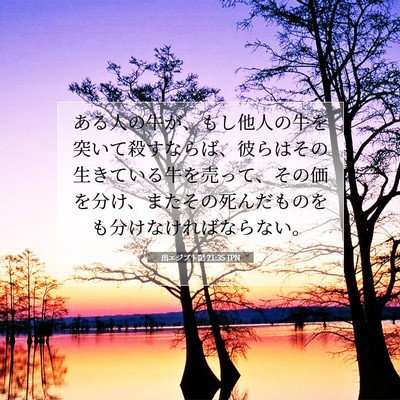出エジプト記 21:35 聖書の一節の解説