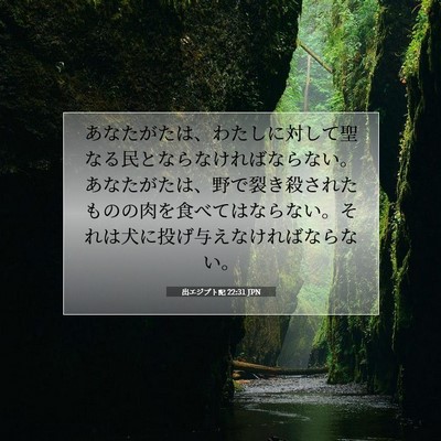 出エジプト記 22:31 聖書の一節の解説