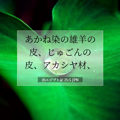 出エジプト記 25:5 聖書の一節の解説
