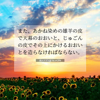 出エジプト記 26:14 聖書の一節の解説