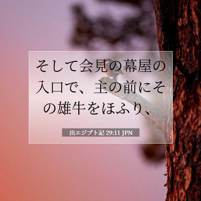 出エジプト記 29:11 聖書の一節の解説