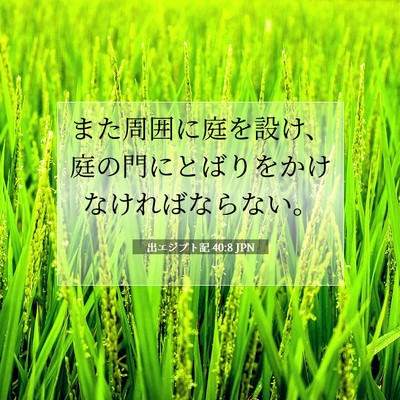 出エジプト記 40:8 聖書の一節の解説